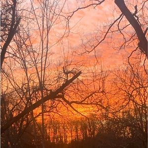 Meet your Posher, Claire